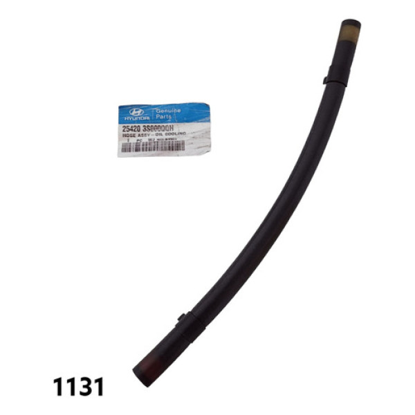 Mangueira Do Reservatório Do Radiador Hyundai Santa Fé 