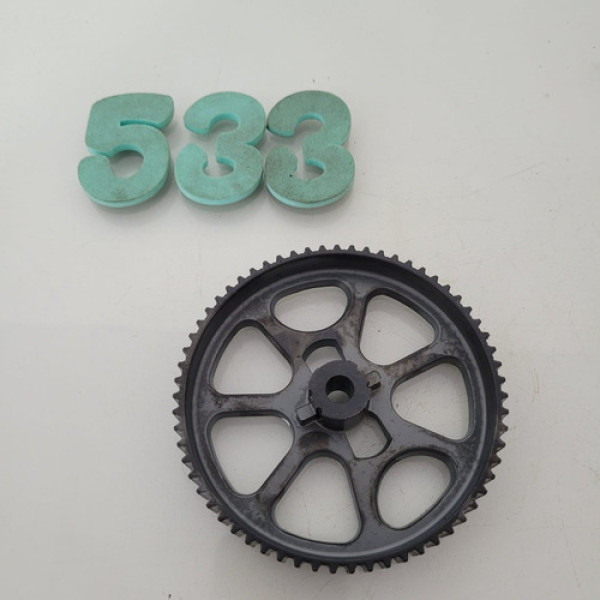 Polia Comando De Válvulas Vw Nivus Cod 04e109111m Cx 533