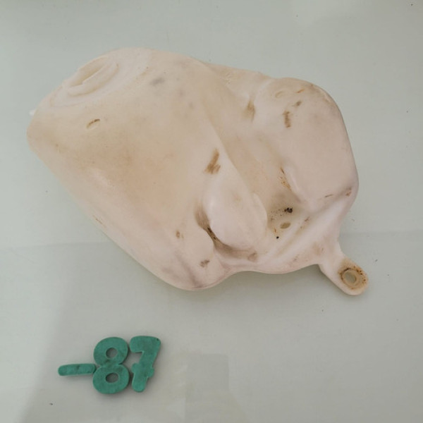 Reservatório Limpador Parabrisa Vw Gol G3 Sc -87