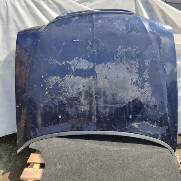 Capo Dianteiro Citroen Xsara Picasso - Detalhes