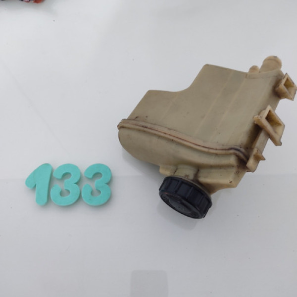 Reservatório Direção Hidráulica Renault Clio 