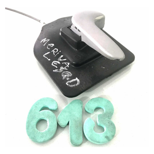 Maçaneta Interna Dianteiro Esquerdo Gm Meriva