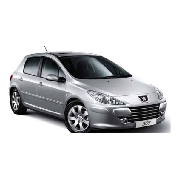 Porta Dianteira Direita Peugeot 307 Com Detalhe