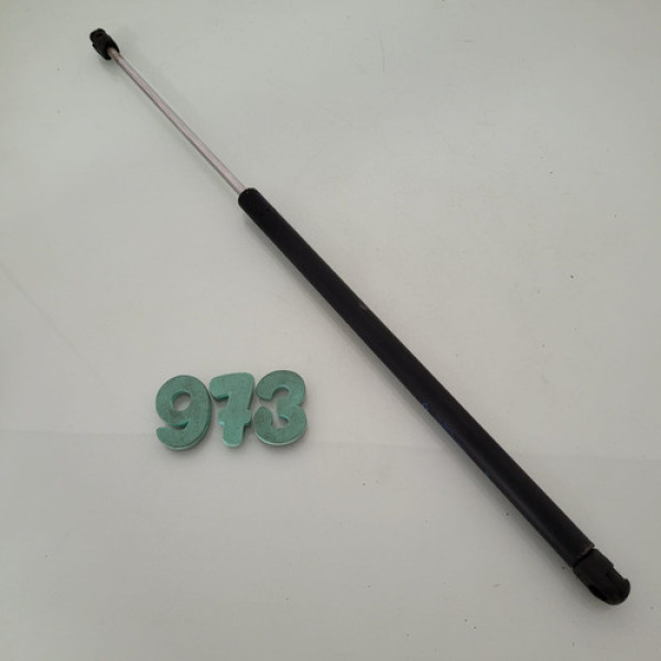 Amortecedor Tampa Traseira Renault Scenic Cx 973