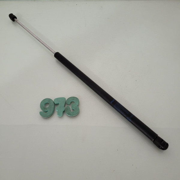 Amortecedor Tampa Traseira Renault Scenic Cx 973