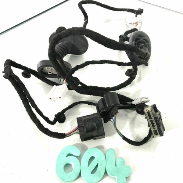 Chicote Da Porta Ford Ecosport 2017 Trás. Esq. C/ Detalhe 