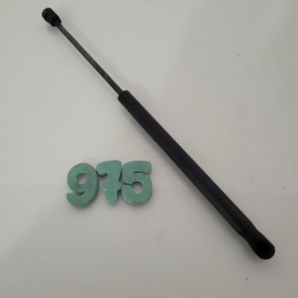 Amortecedor Do Capo Dianteiro Gm Captiva Cx 975