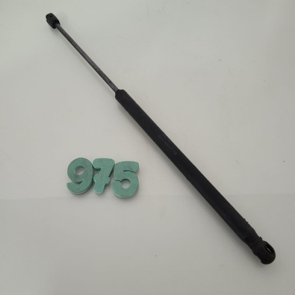 Amortecedor Tampa Traseira Ford Ecosport 2019 Cx 975