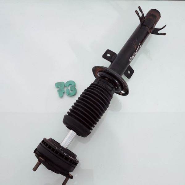 Amortecedor Dianteiro Esquerdo Ford Ecosport 2009 N73