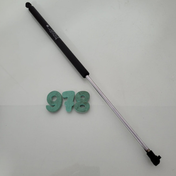 Amortecedor Tampa Traseira Peugeot 207 Cx 978