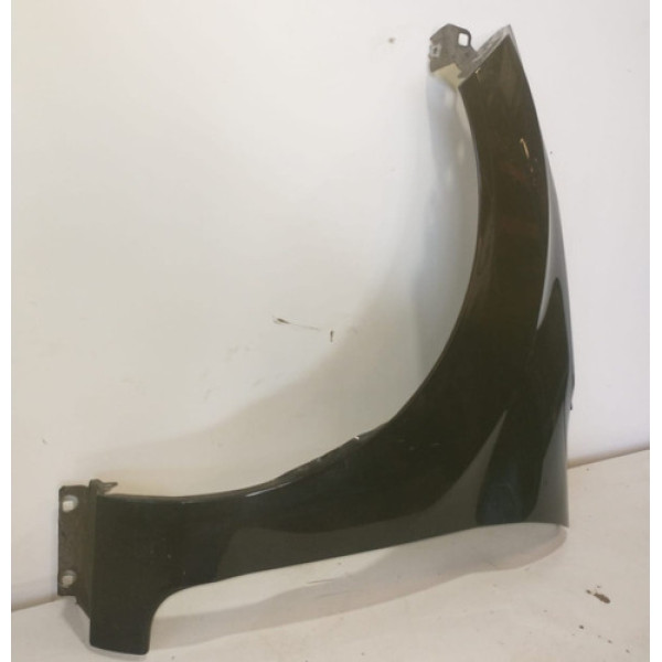 Paralama Dianteiro Esquerdo Ford New Fiesta