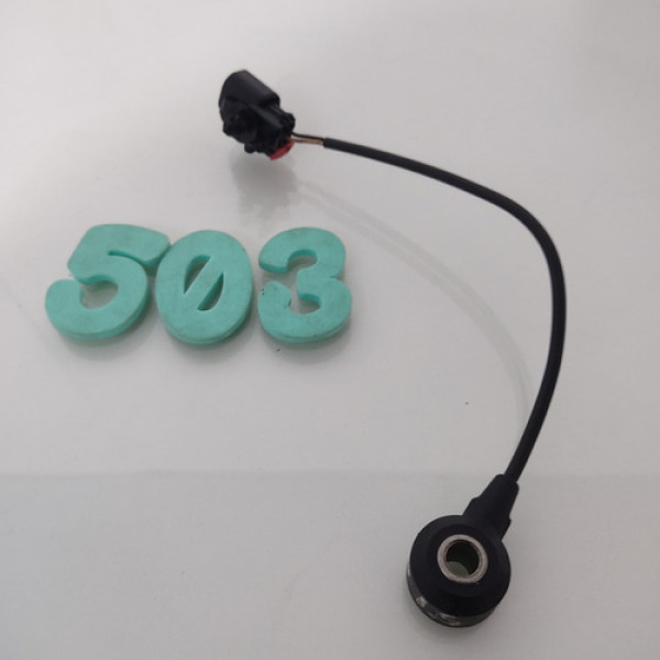 Sensor Detonação Ford Ecosport 1.5 3cc 2019