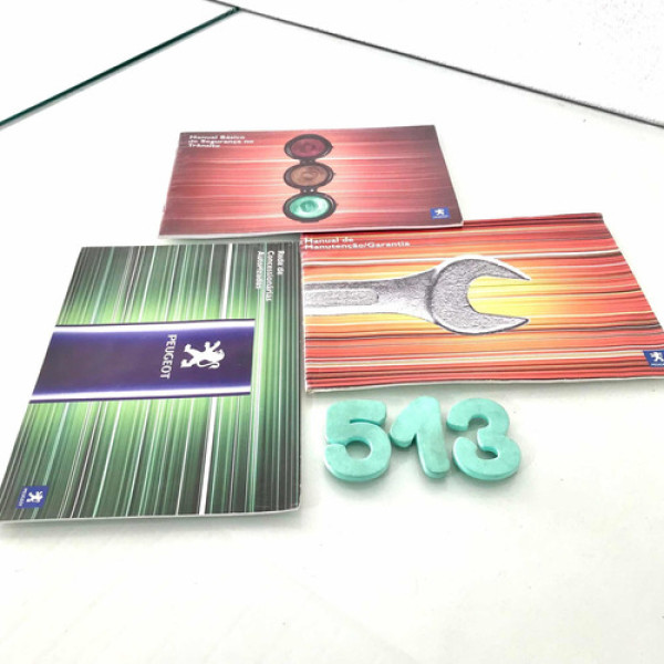 Manual Básico Segurança/ Manutenção/ Rede Auto Peugeot 307