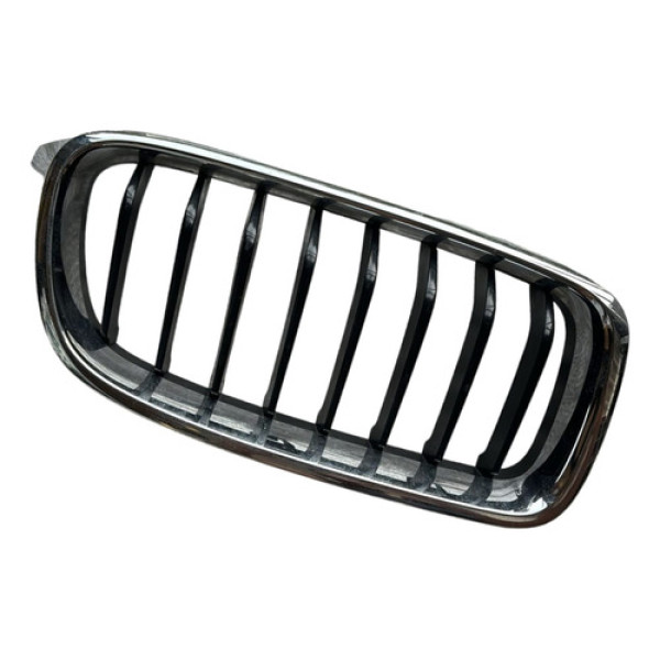 Grade Frontal Lado Direito Bmw 320