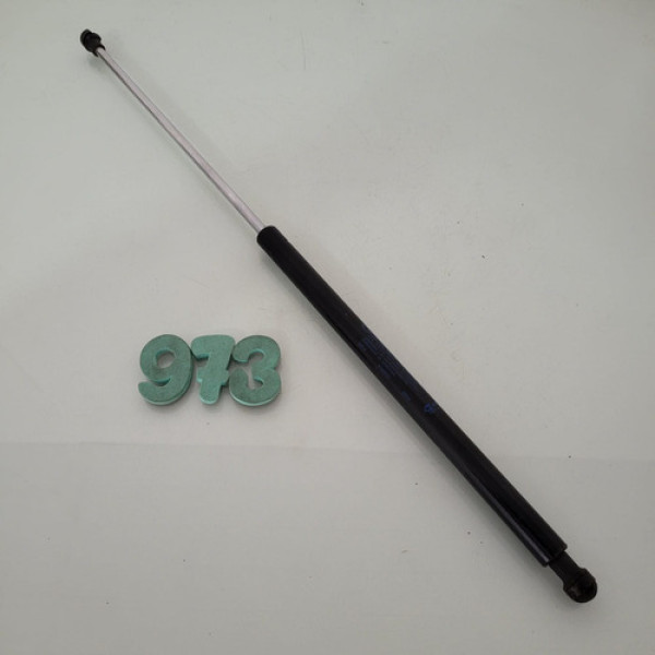 Amortecedor Tampa Traseira Fiat Palio 2013 Cx 973