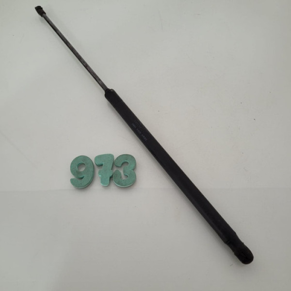 Amortecedor Tampa Traseira Ford Fiesta 02/12 Cx 973