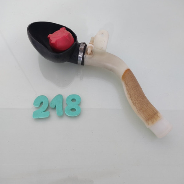 Gargalo Reservatório Partida Frio Renault Clio 2017