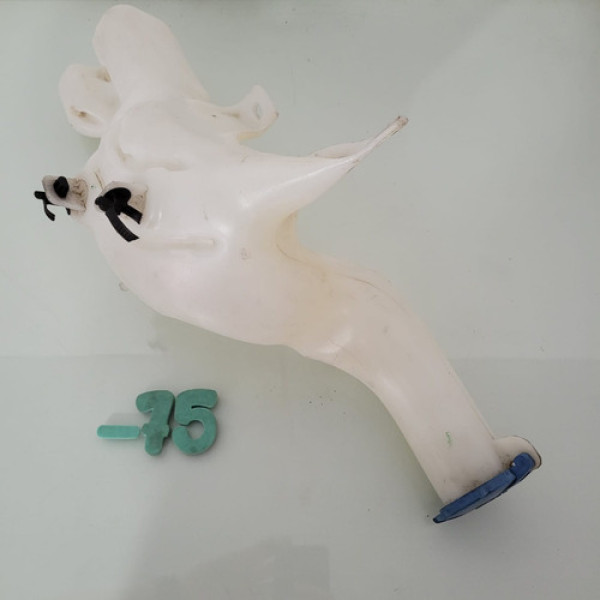 Reservatório Limpador Parabrisa Hyundai Hb20 Sc -75