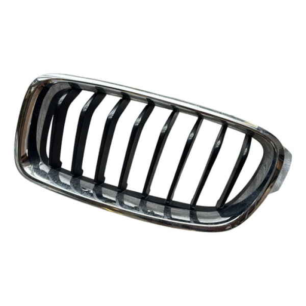 Grade Frontal Lado Esquerdo Bmw 320 Detalhe 