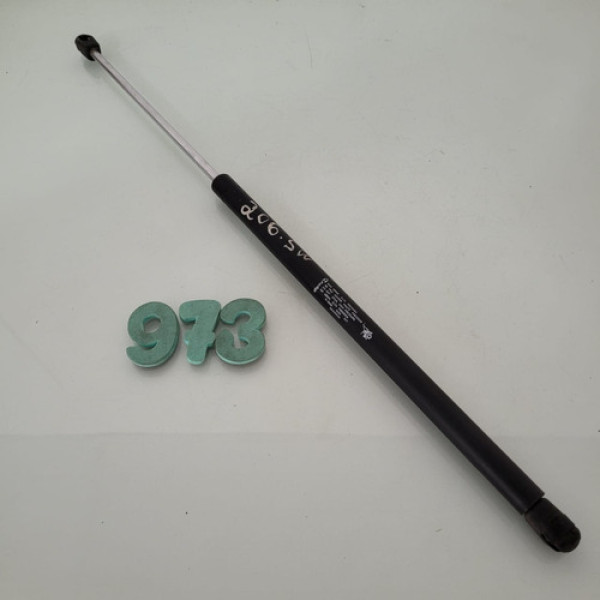 Amortecedor Tampa Traseira Peugeot 206 Sw Cx 973