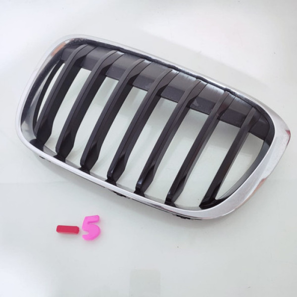Grade Dianteira Lado Esquerdo Bmw X1 Cod 7354823 Sc -5