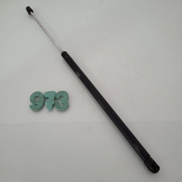 Amortecedor Tampa Traseira Renault Scenic Cx 973