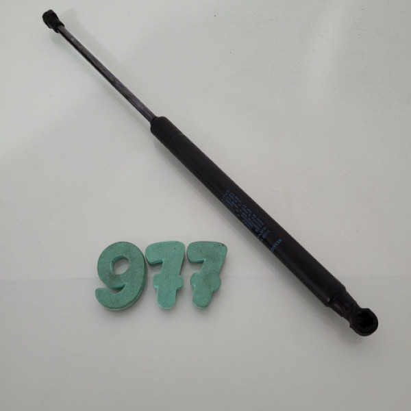 Amortecedor Tampa Traseira Renault Clio 2013 Cx 977