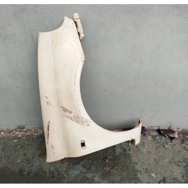 Paralama Dianteiro Direito Renault Clio 