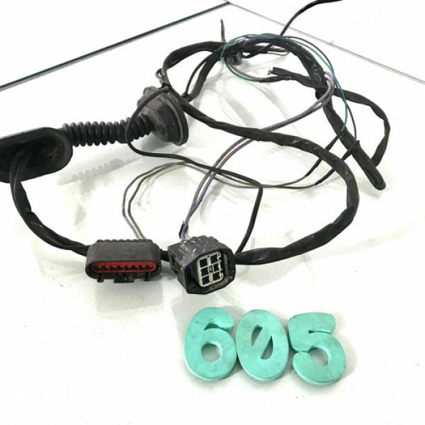 Chicote Porta Traseira Ford Ka