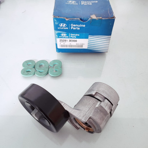 Tensor Da Correia Do Alternador Hyundai Santa Fé 2.7  Cx 893