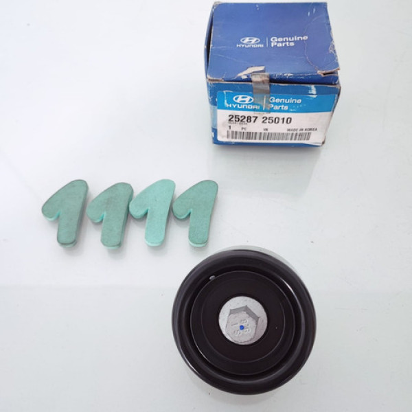 Polia Do Alternador Hyundai Ix35 2528725010 Cx 1111